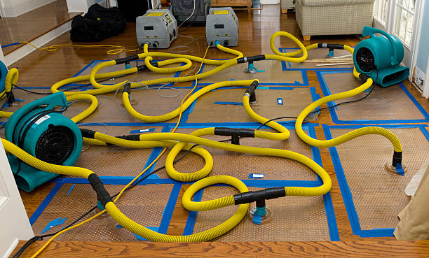 Professional Water Extraction technician working in Mineola, IA
